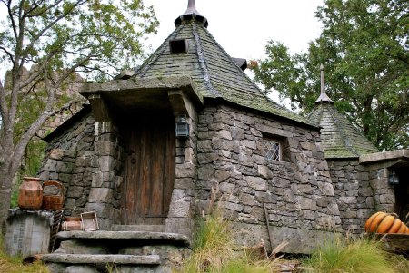 Гарри поттер хижина хагрида