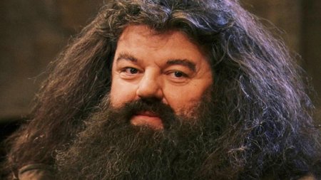 Хагрид гарри поттер