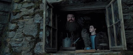 Хижина хагрида узник азкабана