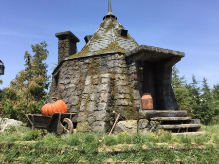 Гарри поттер хижина хагрида