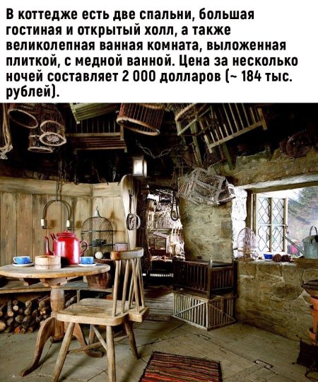 Гарри поттер хижина хагрида