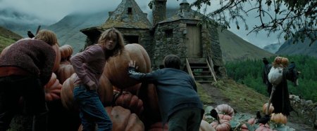 Гарри поттер и узник азкабана 2004