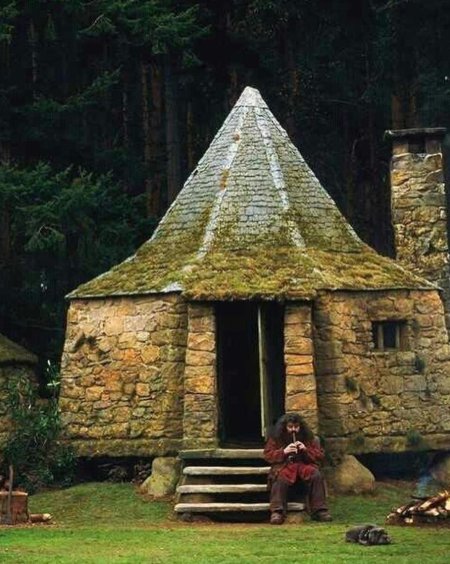 Гарри поттер хижина хагрида