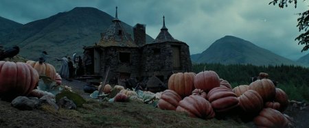 Гарри поттер хижина хагрида