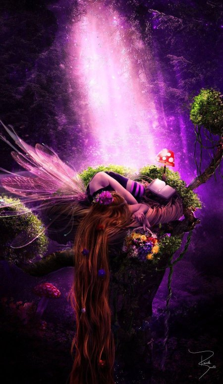 Феи красивые