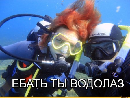 Смешной водолаз