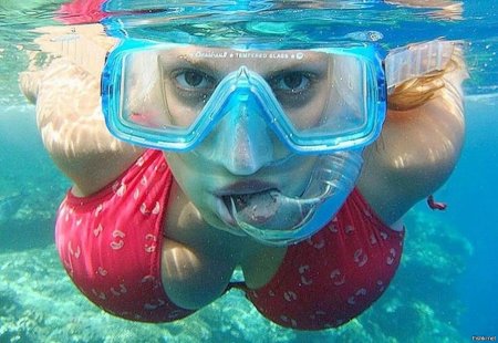 Снорклинг в бассейне