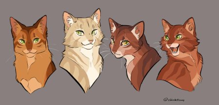 Огнезвёзд и песчаная буря