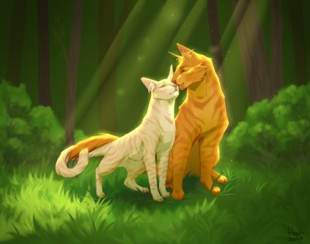 Коты воители огнезвёзд и песчаная буря