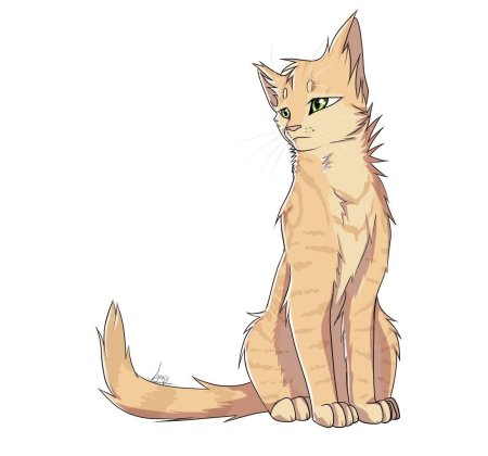 Коты воители песчаная буря