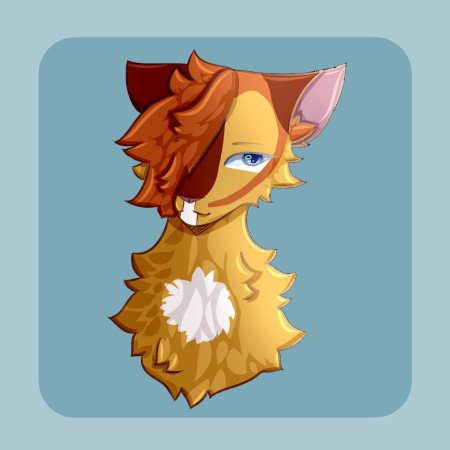 Коты воители river spirit кленовница