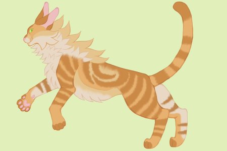 Кот воители