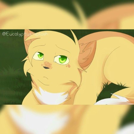 Огнезвезд и песчаная буря