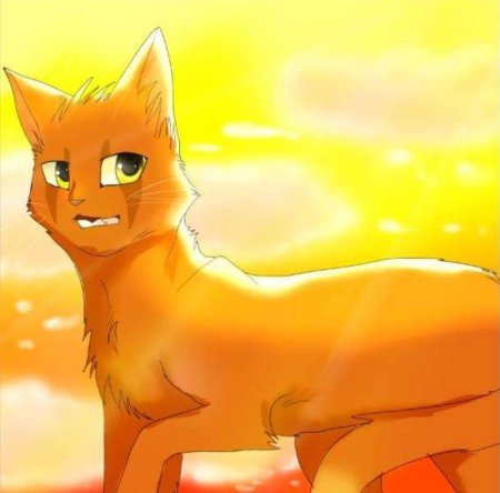 Коты воители желудь