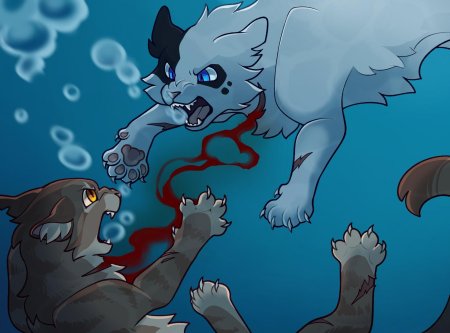 Коты воители темнохвост