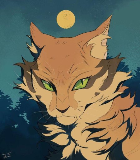 Коты воители песчаная буря