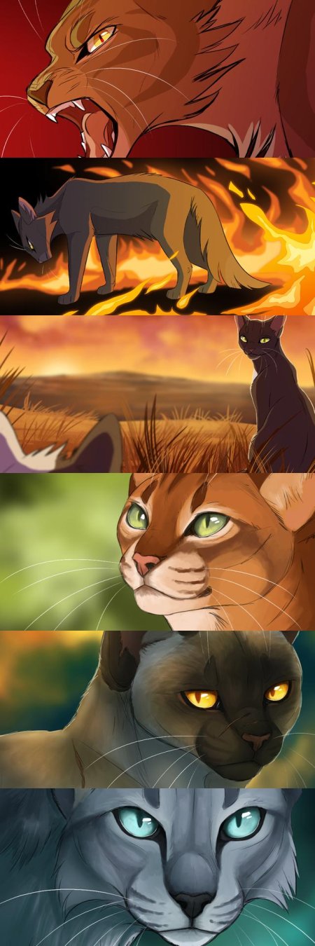 Climbtothestars коты воители