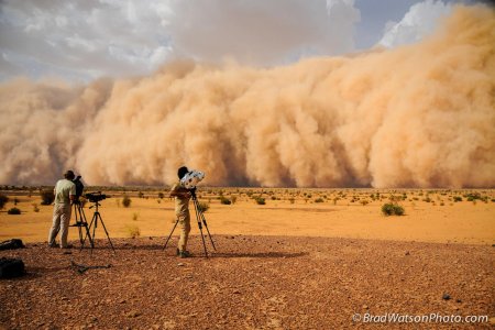 Песчаные и пыльные бури