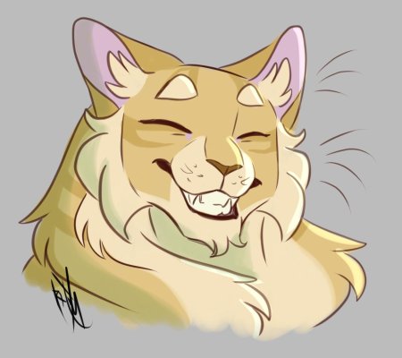 Мотылинка коты воители