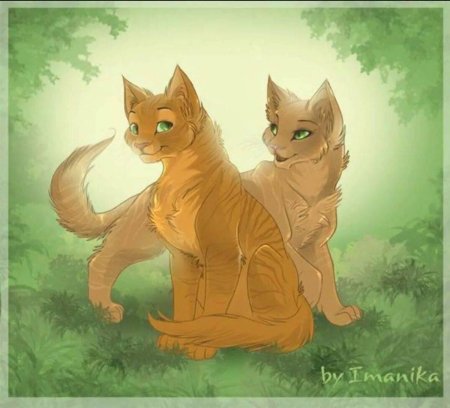 Коты воители огнезвёзд и песчаная буря