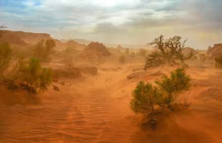 Пустыня гоби песчаная буря