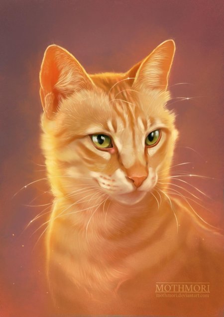 Песчаная буря коты воители арт