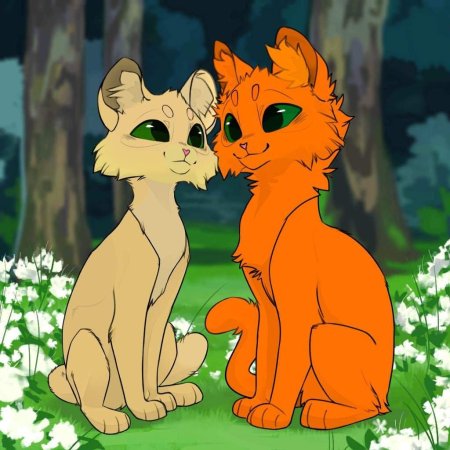 Коты воители огнезвёзд и песчаная буря