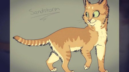 Коты воители песчаная буря