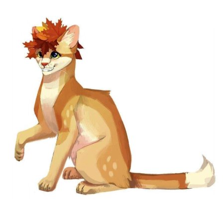 Коты воители песчаная буря