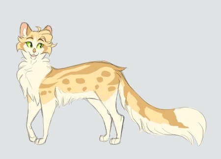 Коты воители песчаная буря