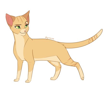 Коты воители песчаная буря