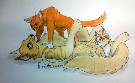 Коты воители огнезвёзд и песчаная буря любовь