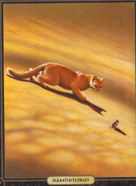 Обгоняющая ветер коты воители