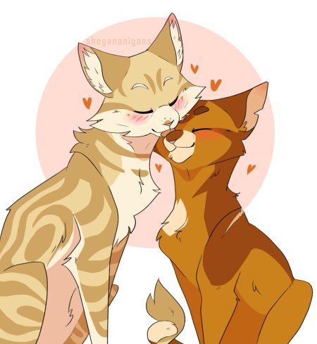 Коты воители песчаная буря