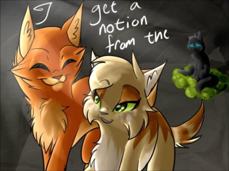 Огнезвёзд и песчаная буря коты воители