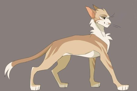 Коты воители песчаная буря