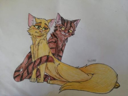 Огнезвезд и песчаная буря