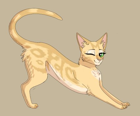 Коты воители песчаная буря