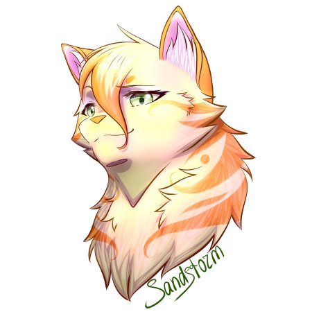 Коты воители песчаная буря