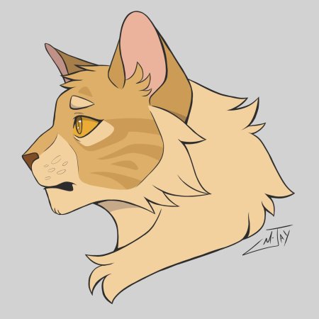 Коты воители marymsjay