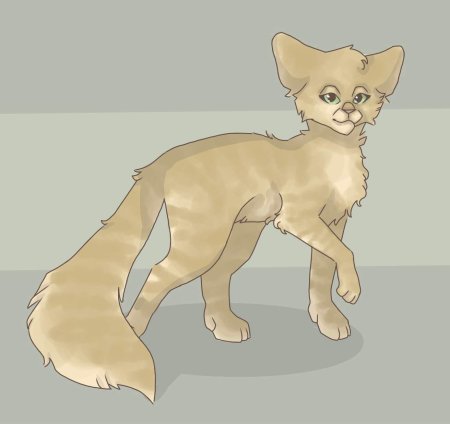 Коты воители песчаная буря