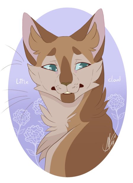 Коты воители от marymsjay