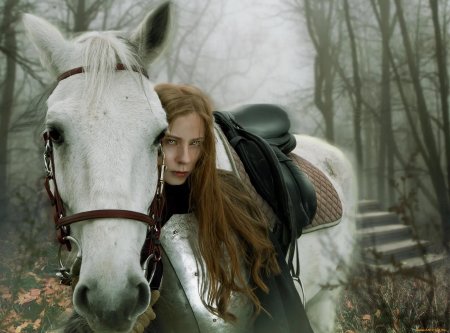 Рыцари на конях