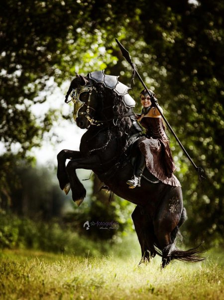 Дарья лефлер черный рыцарь