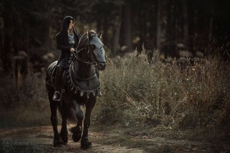 Дарья лефлер черный рыцарь