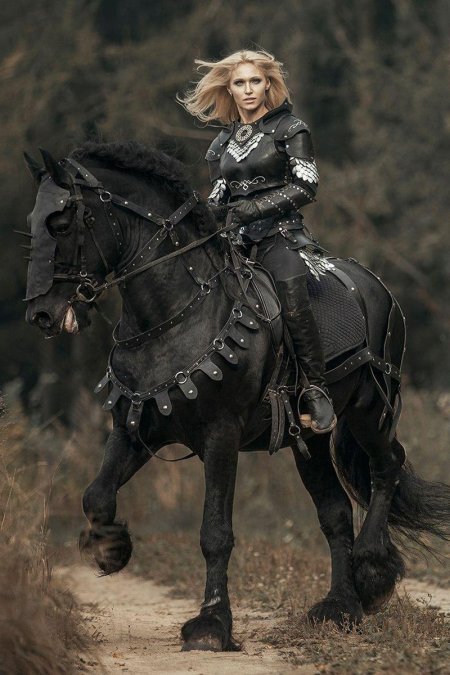 Дарья лефлер черный рыцарь