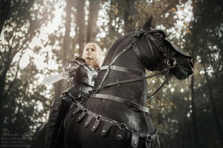 Дарья лефлер черный рыцарь