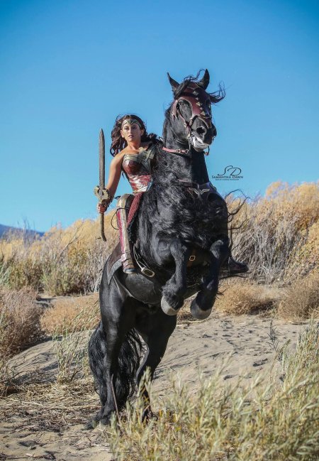 Всадница пенелопа круз