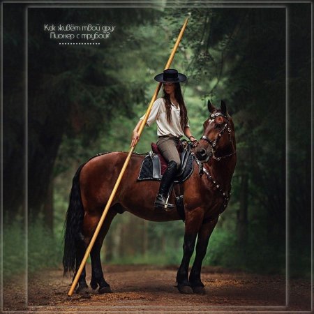 Фотосессии с лошадьми