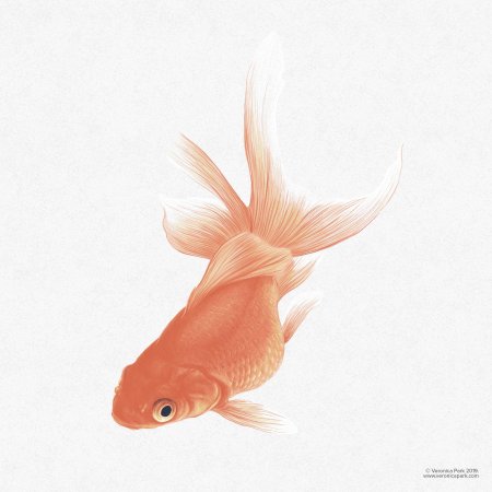 Золотая рыбка